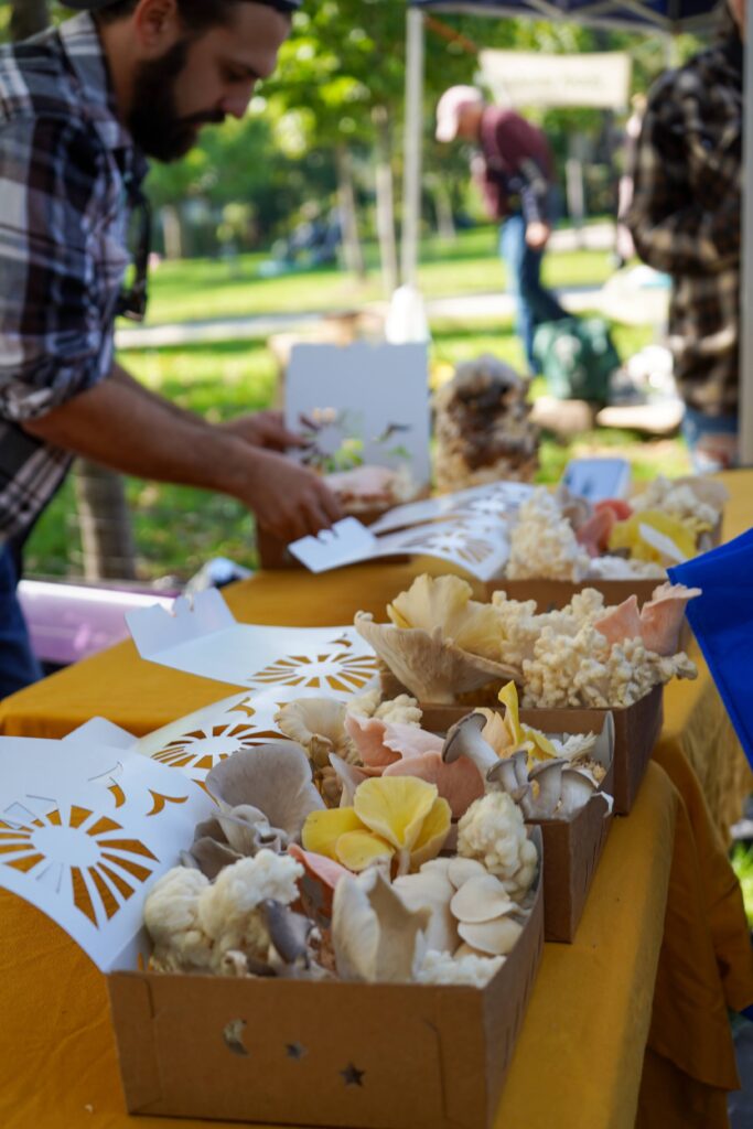 Photo of a farmers market vendor selling fresh mushrooms in boxes