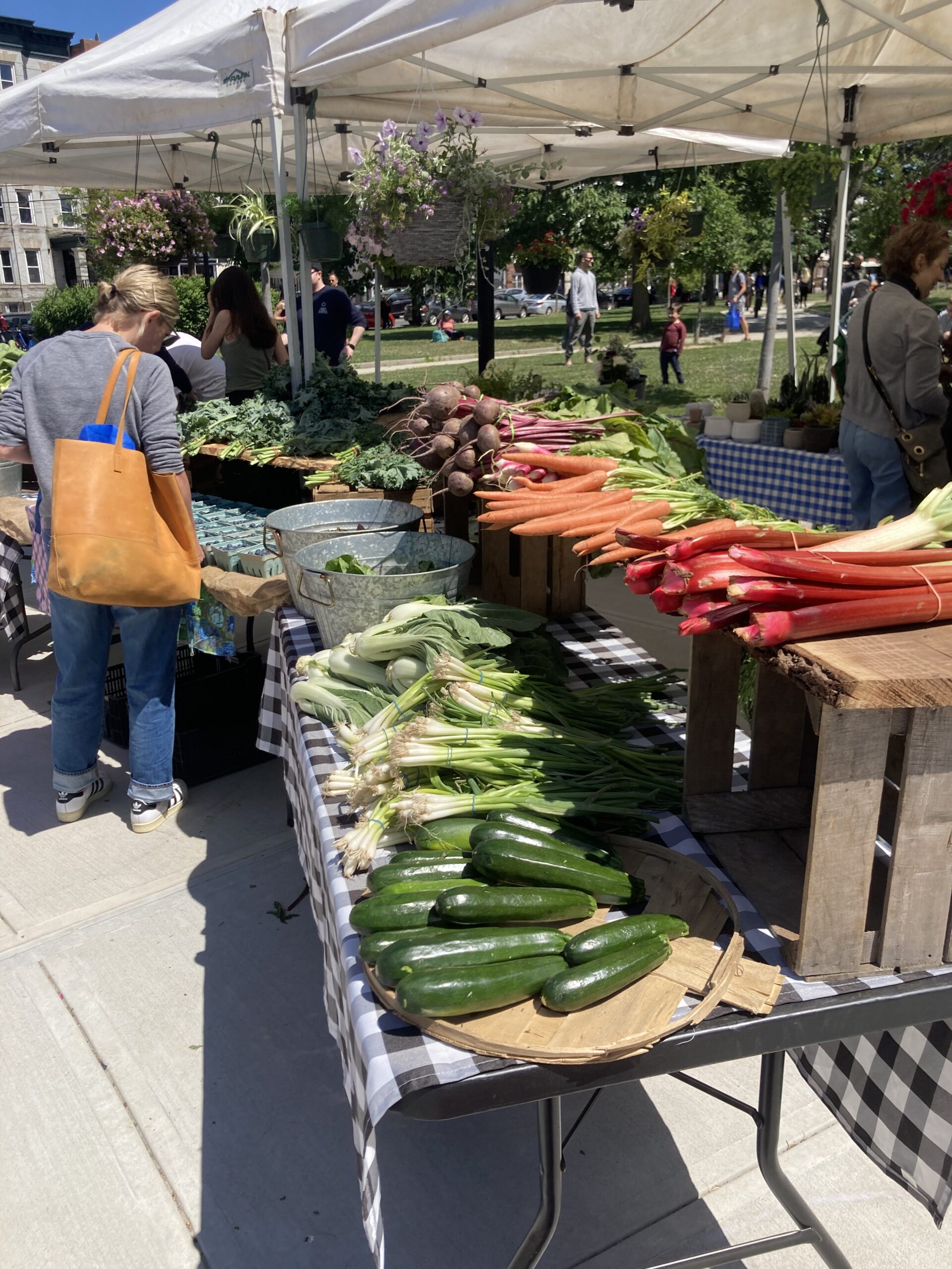 A woman with a bright orange tote bag browses a two-tiered table of vibrant, colorful produce. Rhubarb, carrots, cucumbers, and more are displayed proudly by a market vendor.